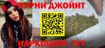 прущие грибы Балашиха
