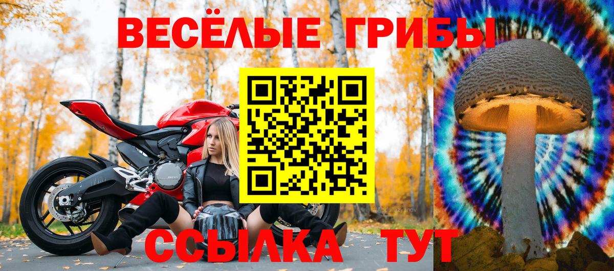 Великие Луки  Псилоцибиновые грибы мухоморы  Вход с VPN 