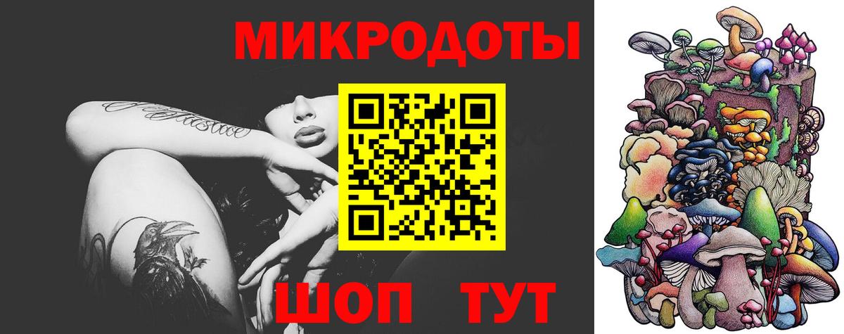 Псилоцибиновые грибы прущие грибы Великие Луки